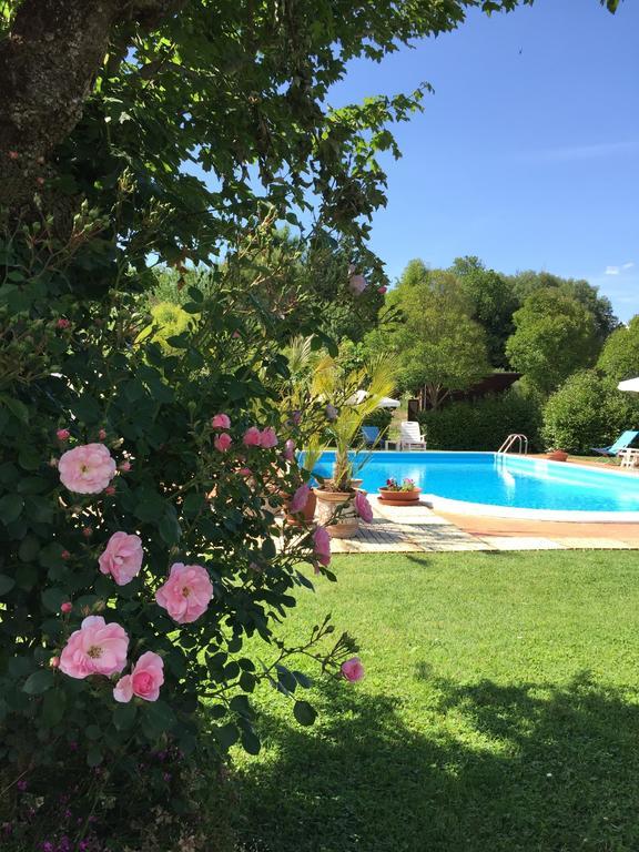 Poggio Paradiso Apartments Mengara 部屋 写真
