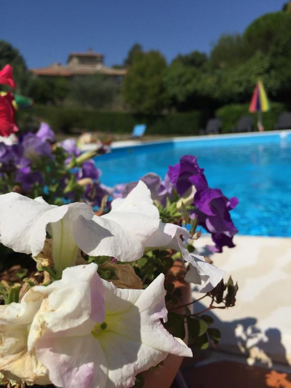 Poggio Paradiso Apartments Mengara 部屋 写真