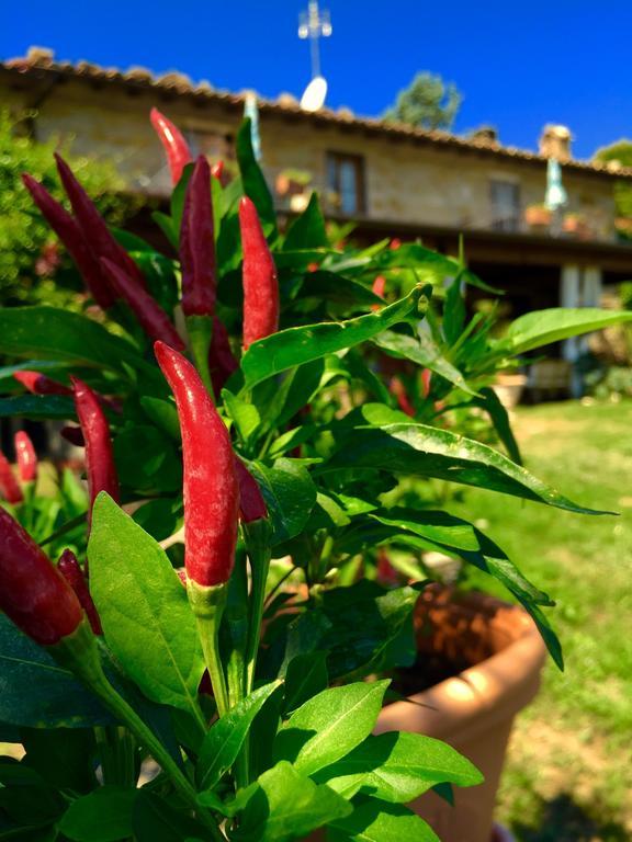 Poggio Paradiso Apartments Mengara 部屋 写真